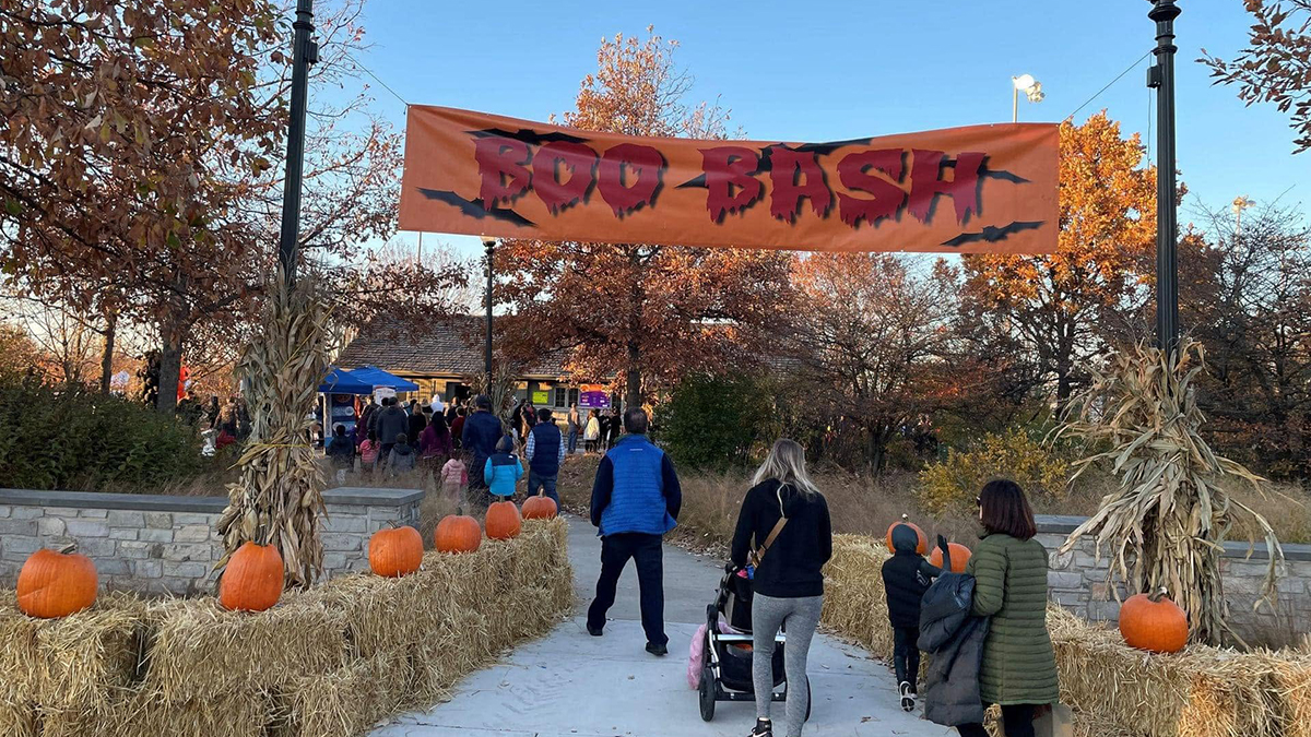 Things to Do This Weekend October 30-November 1, 2026